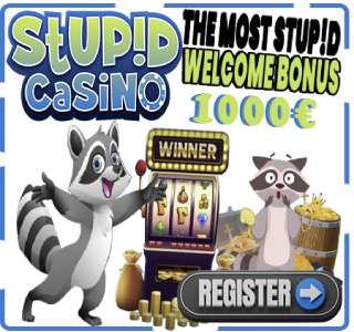 Stupid Casino Bonus