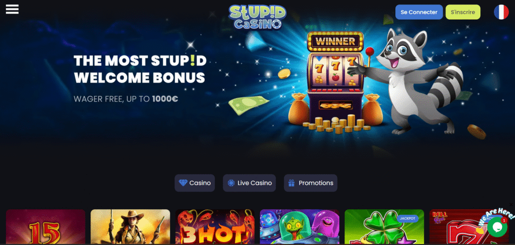 Stupid Casino